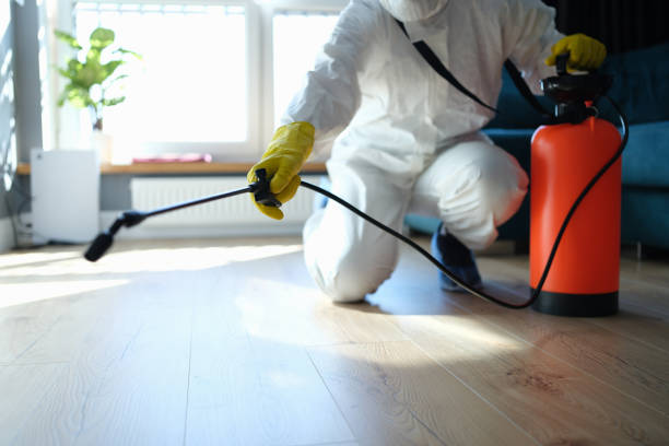 Reliable Odor Removal contractor in Seabrook, SC by Crime Scene Cleaner Online